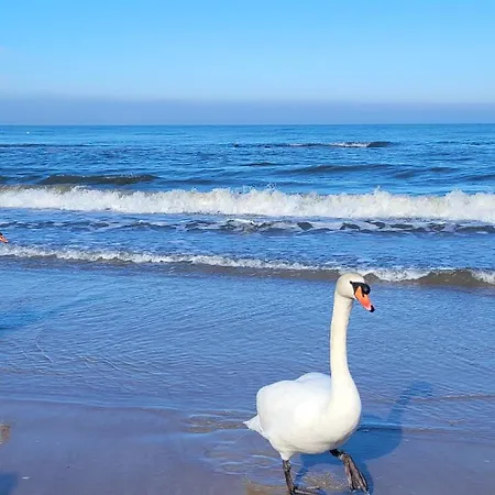 Baltyk Alloggio in famiglia *