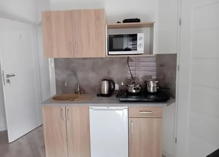 ホームステイ Baltyk シュトゥトボ